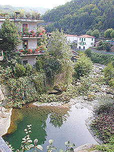 The river "Argentina" 